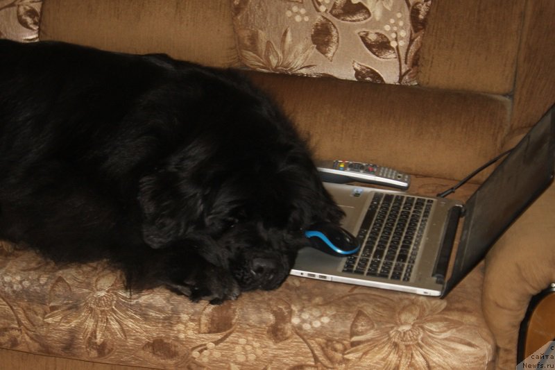 Фотография № 196866