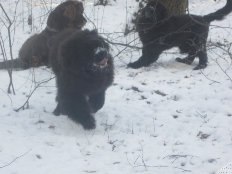 Фото: Наталья Смазчикова