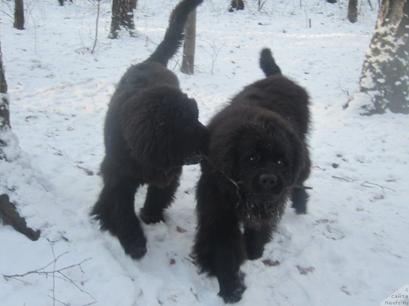 Фото: Наталья Смазчикова