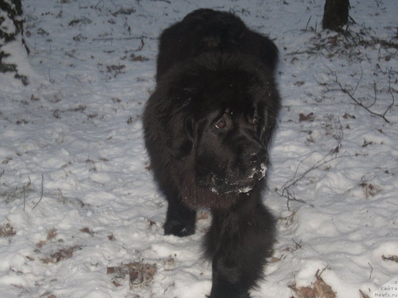 Фото: Наталья Смазчикова