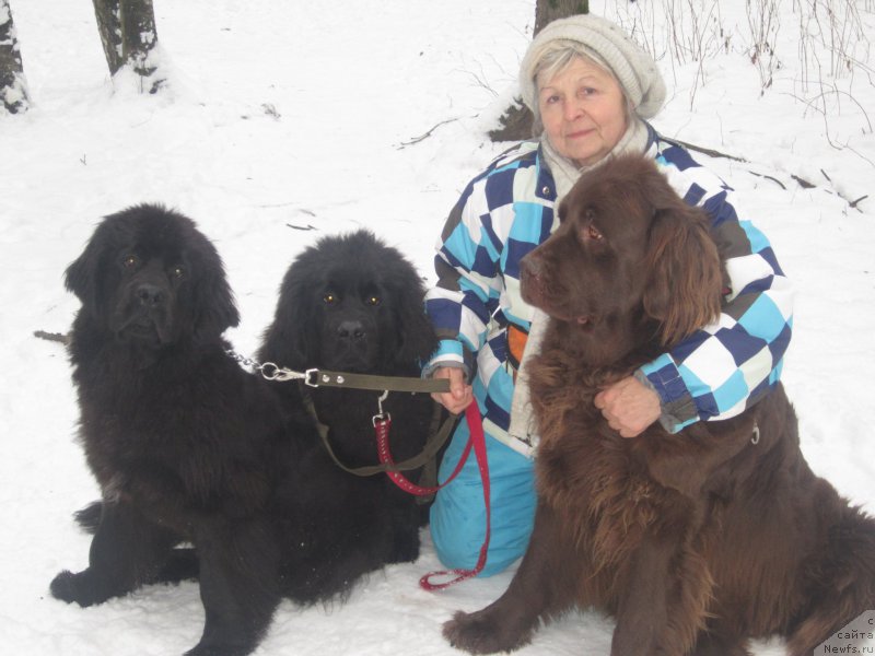 Фото: Наталья Смазчикова