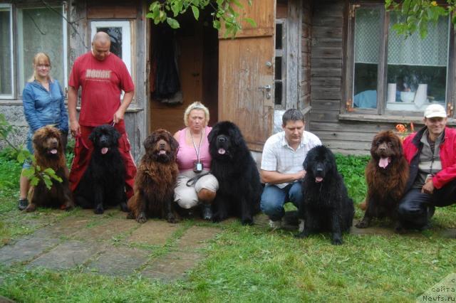 Фото: ньюфаундленд Kupava, ньюфаундленд Karmen, ньюфаундленд Sandra, ньюфаундленд Korol Ljubvi Vialiki Miadzvedz (Король Любви Вялiкi Мядзведзь), ньюфаундленд Kleopatra, ньюфаундленд Kleo