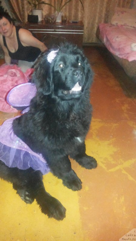 Фотография № 196906