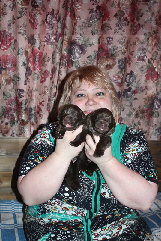 Фотография № 196947