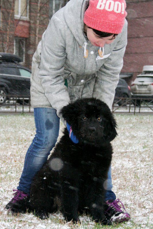 Фотография № 196956