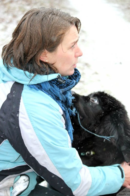 Фото: ньюфаундленд Черная Мафия Аттрактиве Повер (Chernaya Mafia Attractive Power), Ксения Семикова