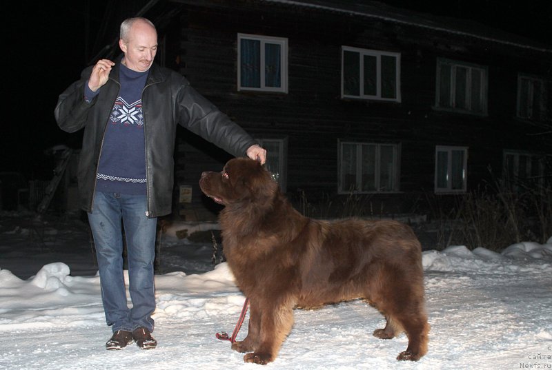 Фотография № 196984