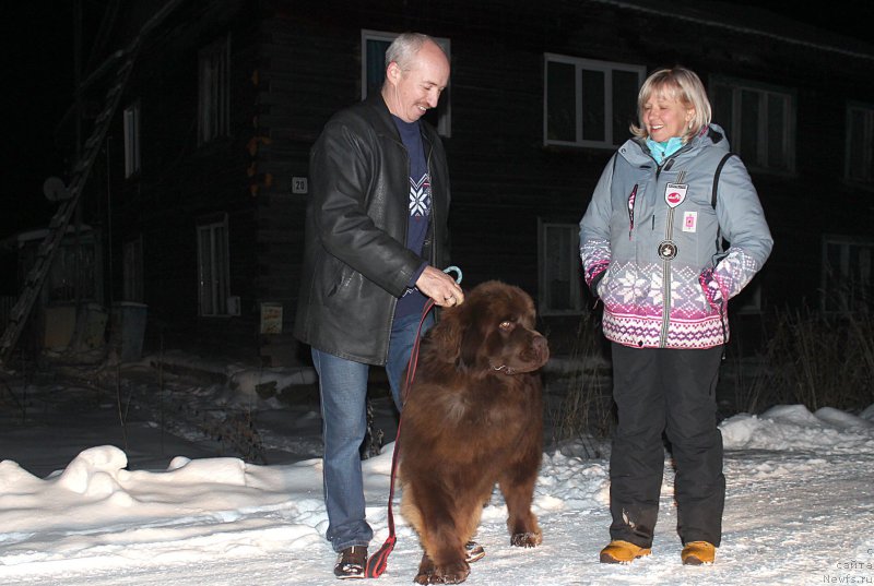 Фото: Алексей Вотчал, Лена Зырина, ньюфаундленд Браунблад МСК Хаким Голд Хайдар (Brownblood MSK Hakim Gold Haydar)