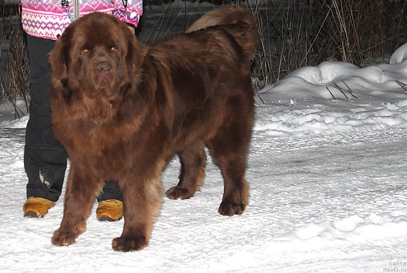 Фотография № 196988