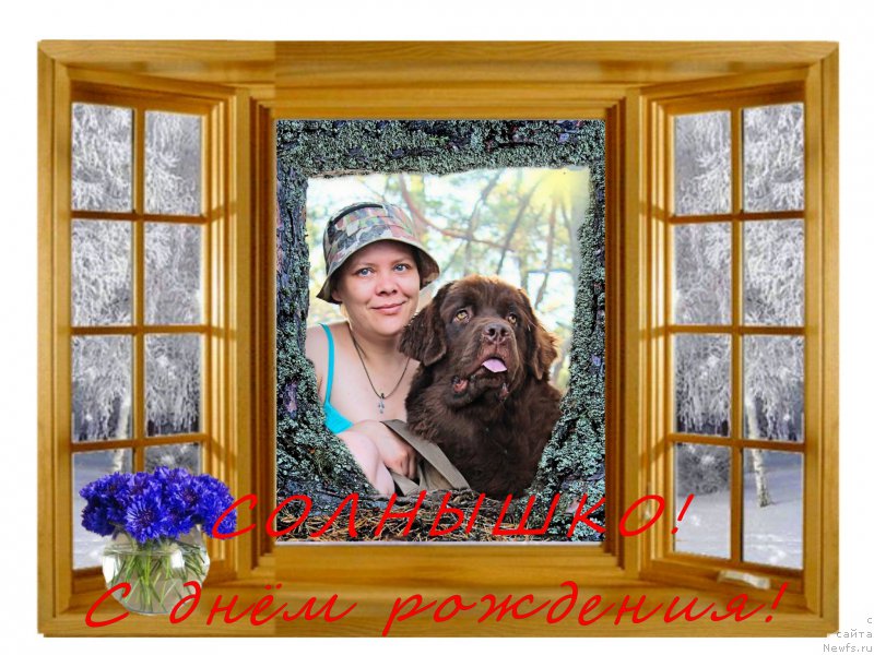 Фотография № 196991