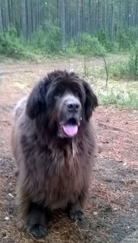 Фотография № 197002