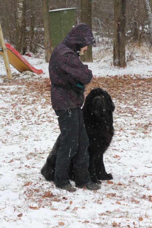 Фотография № 197150