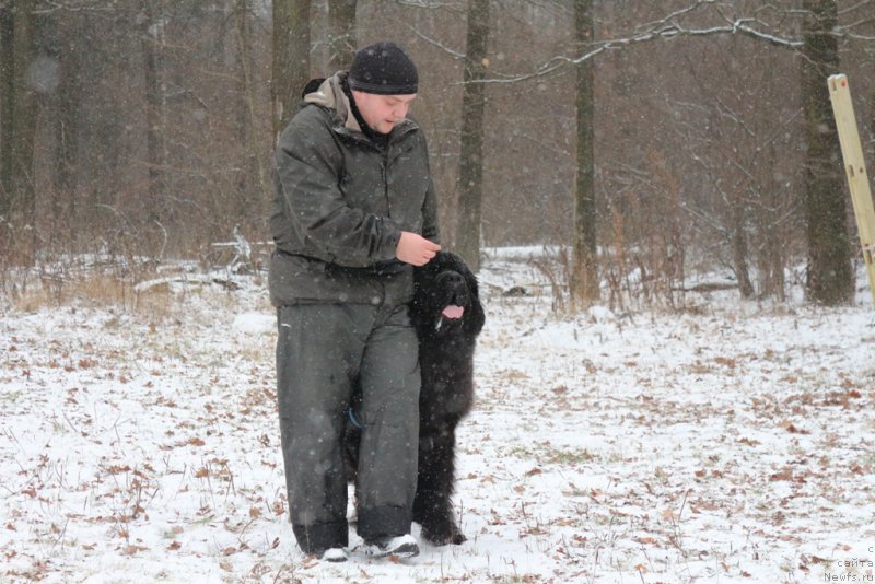 Фото: Александр Пономарёв