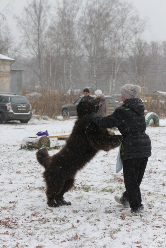 Фотография № 197154