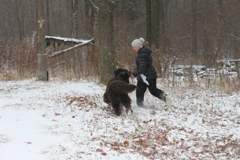 Фотография № 197156