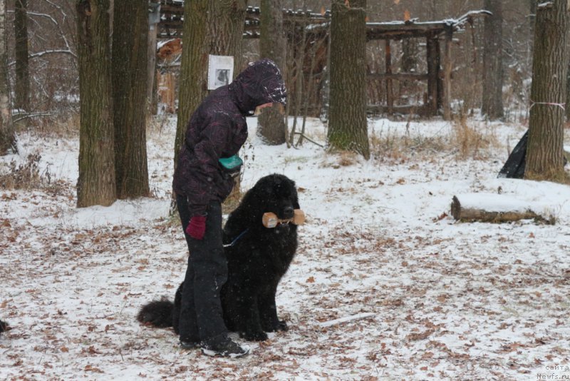 Фотография № 197157