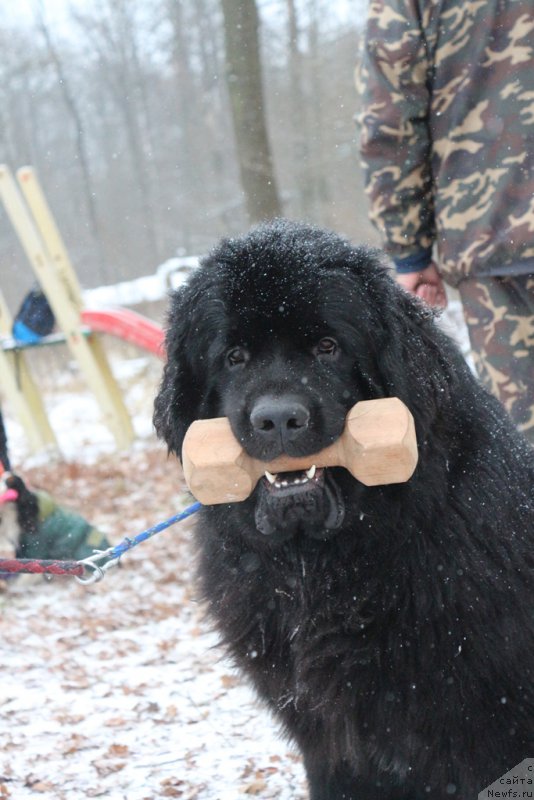 Фотография № 197158