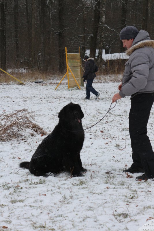 Фотография № 197159
