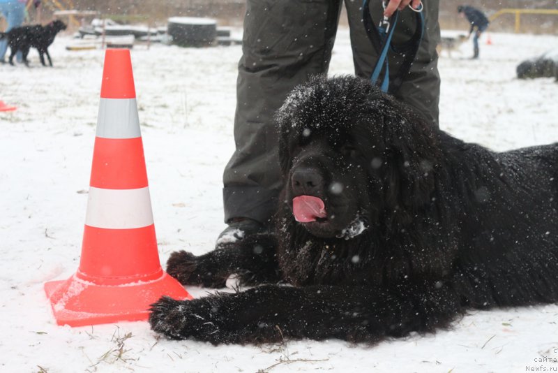 Фотография № 197160