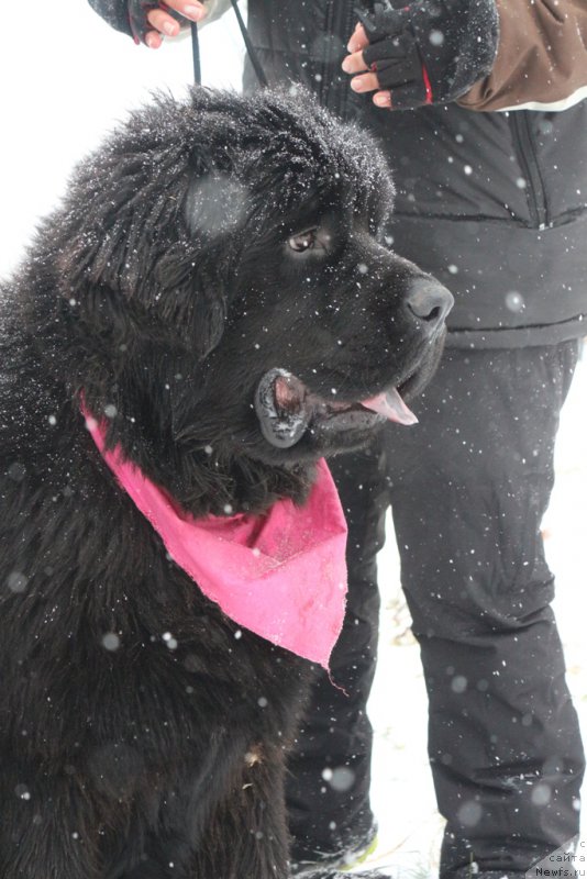 Фотография № 197162