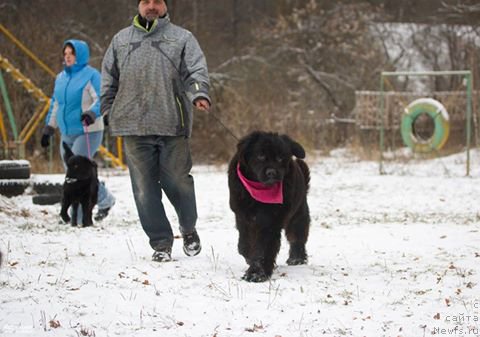 Фотография № 197166