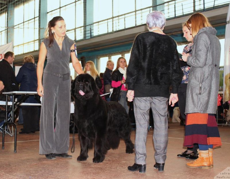 Фотография № 197174