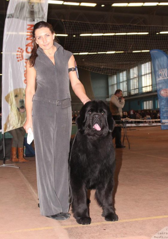 Фотография № 197175