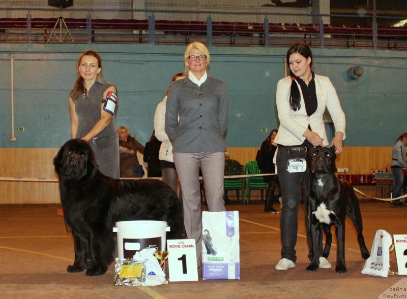 Фотография № 197176