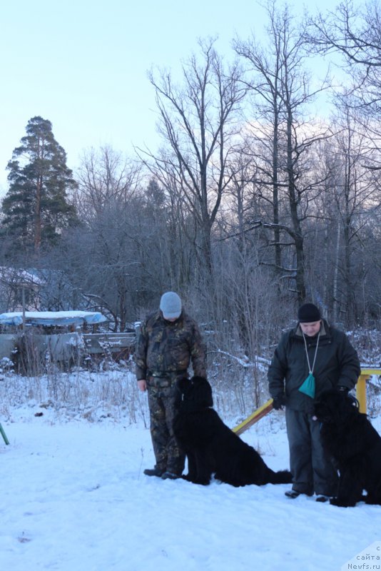 Фотография № 197179