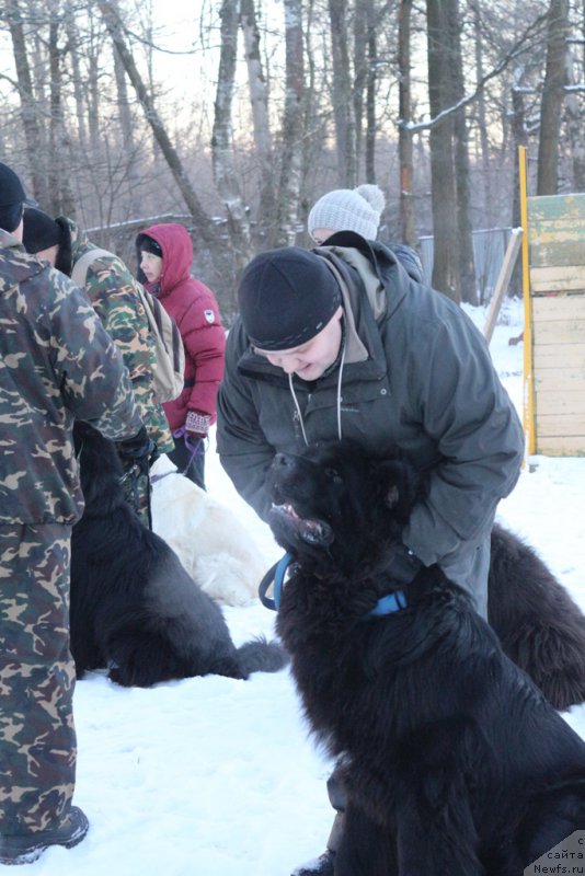 Фотография № 197180