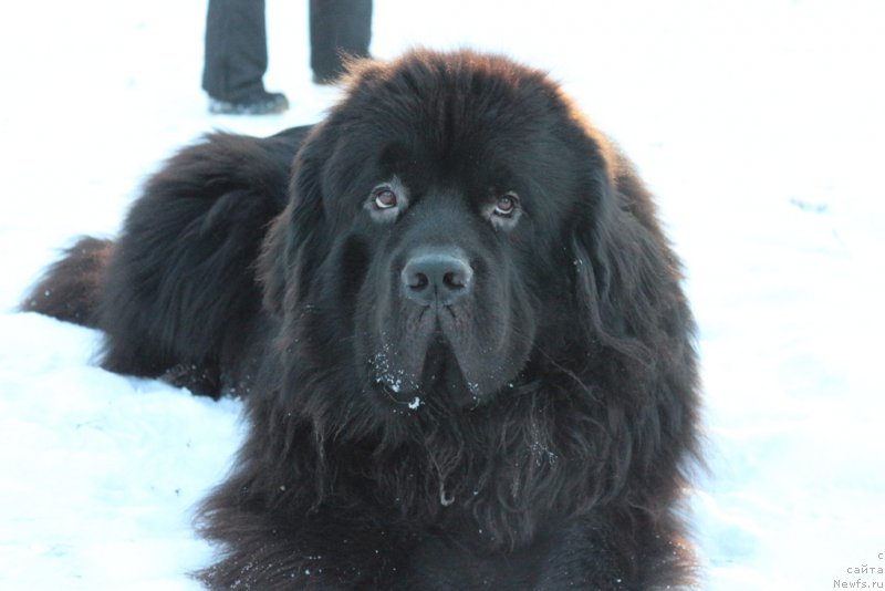 Фотография № 197181