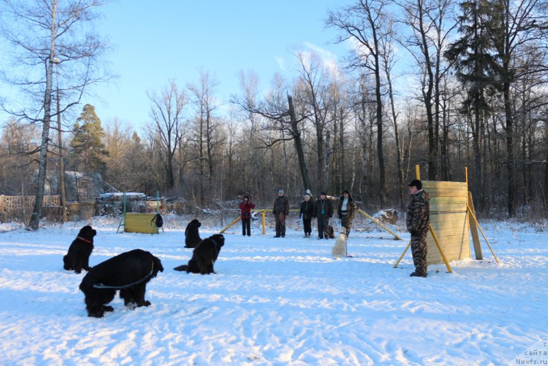 Фотография № 197183