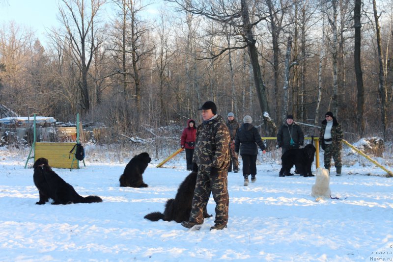 Фотография № 197184