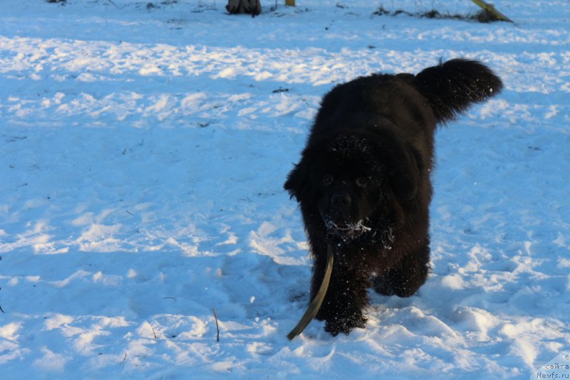 Фотография № 197185