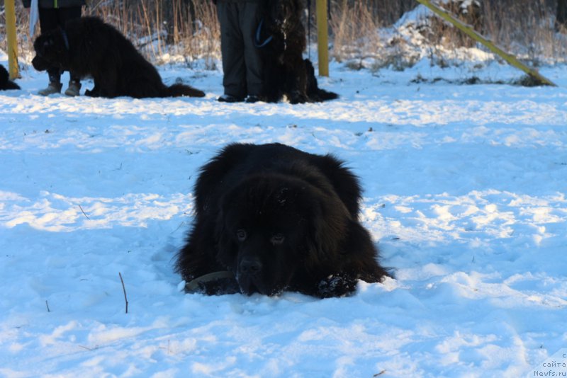 Фотография № 197187