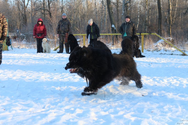 Фотография № 197188