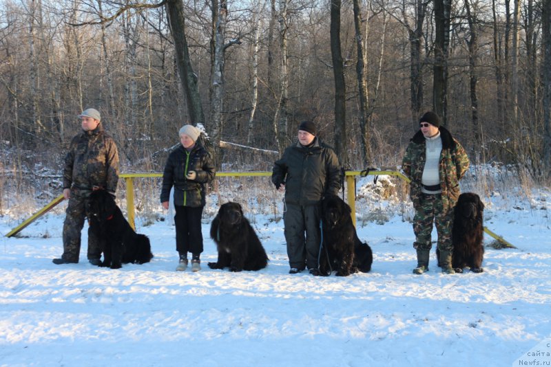 Фотография № 197189