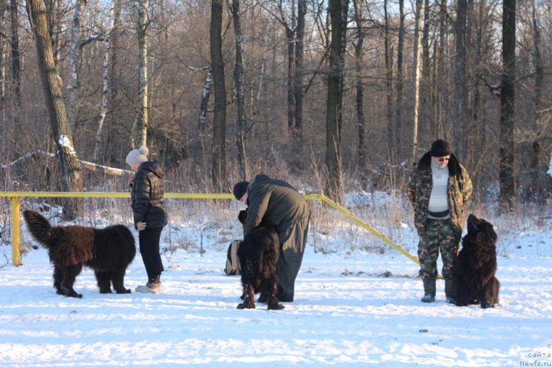 Фотография № 197190