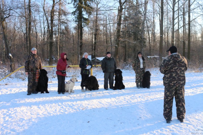 Фотография № 197191