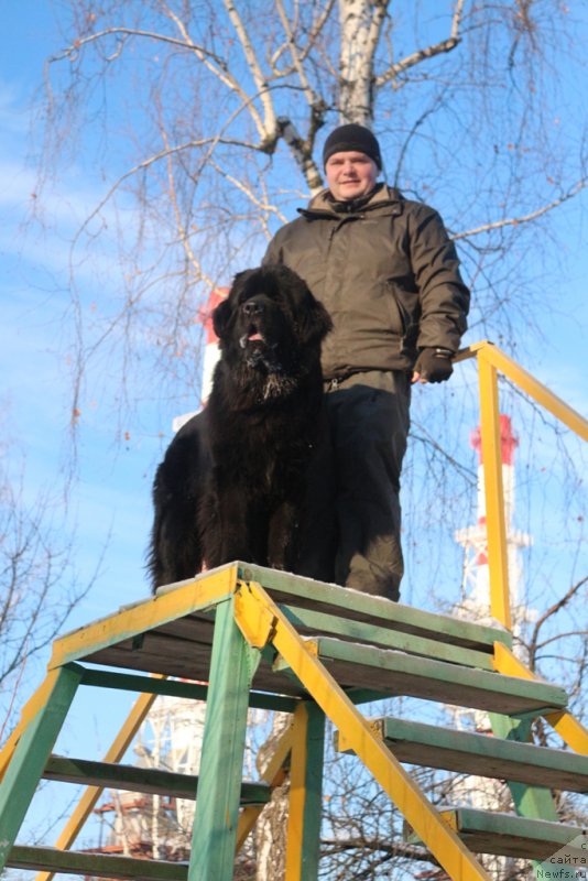 Фотография № 197192