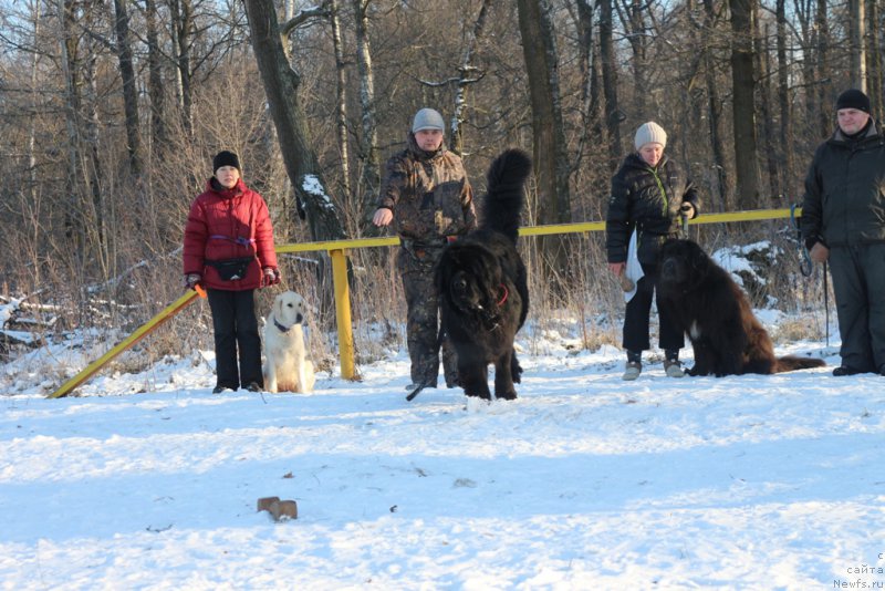 Фотография № 197193