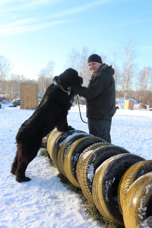 Фотография № 197194