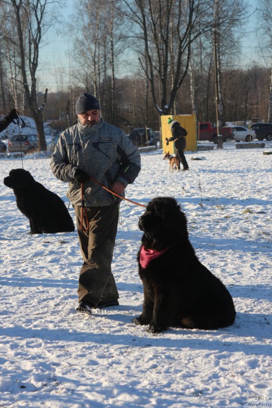 Фотография № 197195