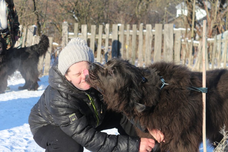 Фотография № 197196