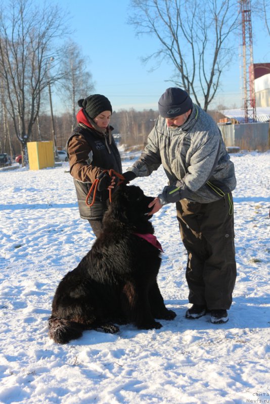 Фотография № 197197