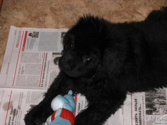 Фотография № 19720