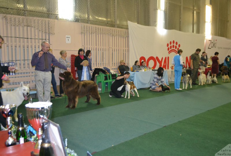 Фотография № 197203