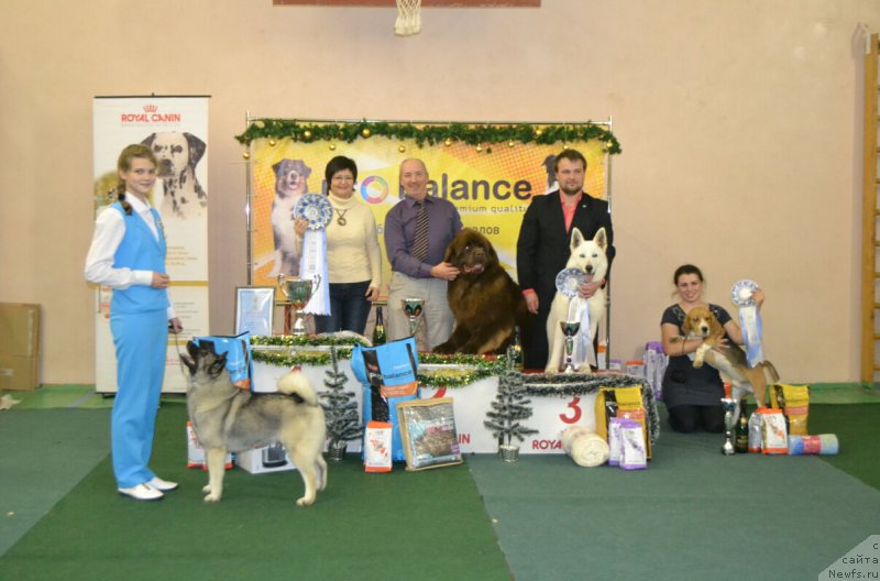 Фотография № 197204