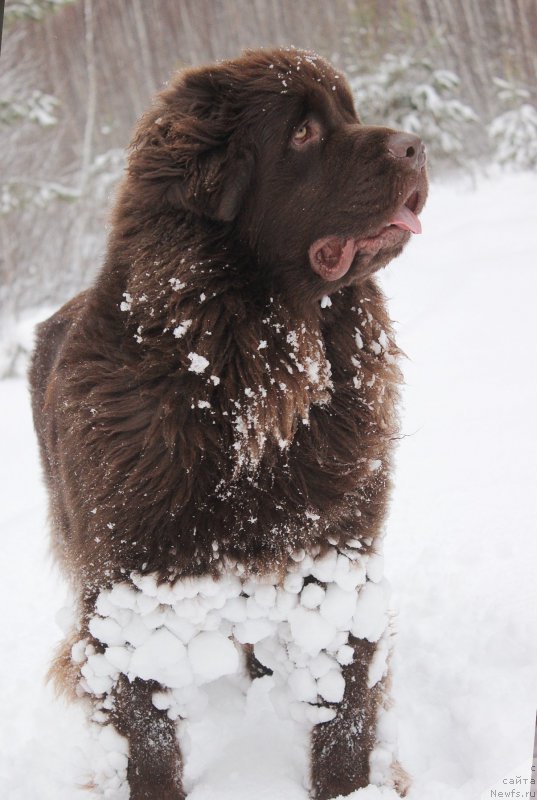 Фотография № 197221