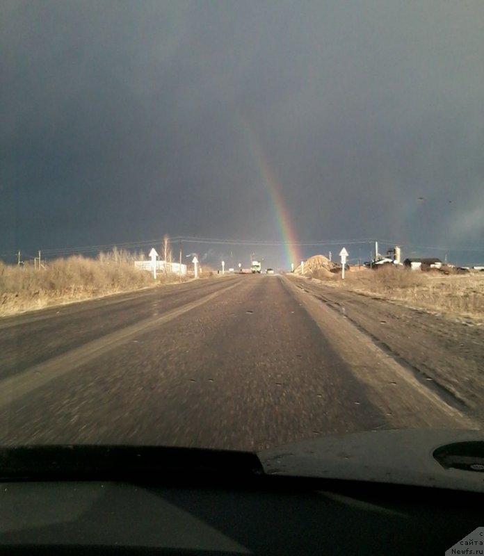 Фотография № 197237